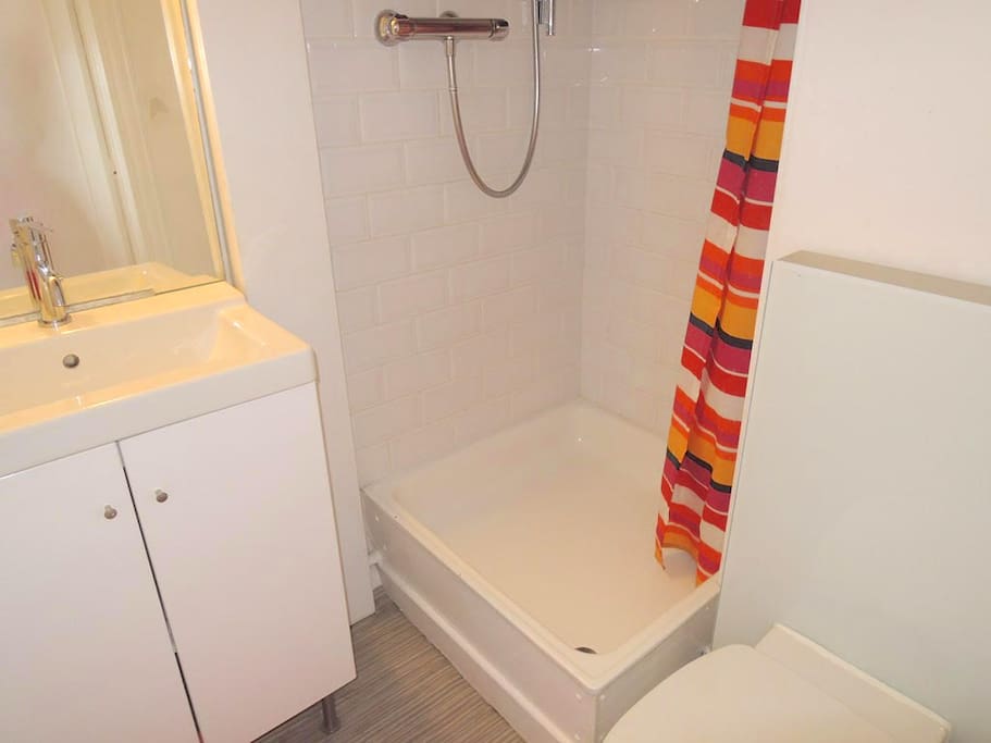 Bathroom is small but clean, (with a rainshower), and is renovated last year.