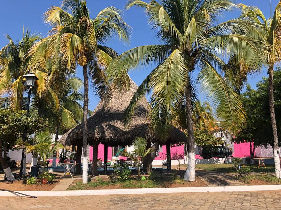 Palapa común