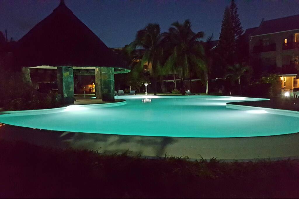 moon light swimming