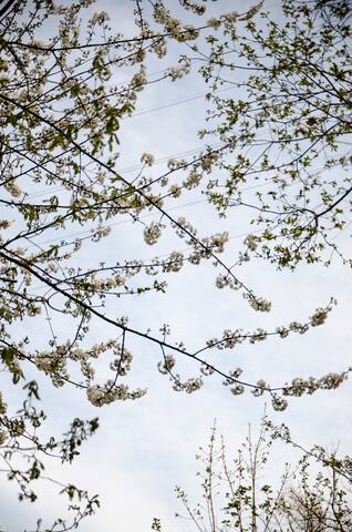 cantinhodaspedras  Gerês ,Braga casa  laranjeiras"