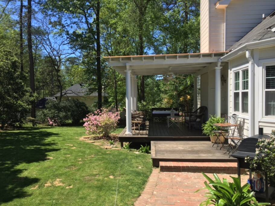 Back yard