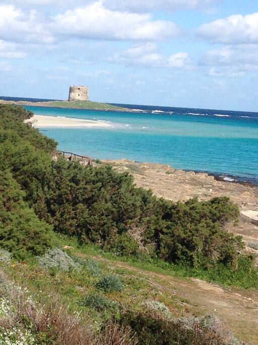 La spiaggia della pelosa a 400 mt