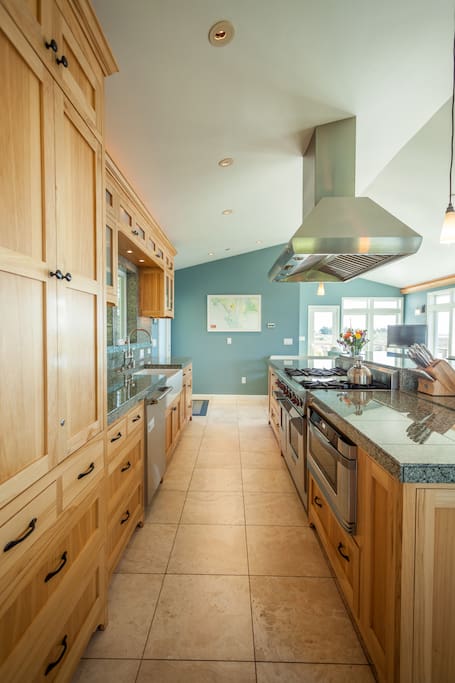Commercial oven and stove top