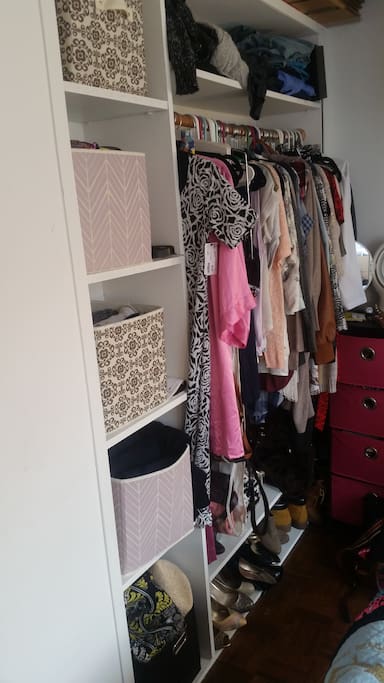 The built in cubbies, closet, and shoe rack.