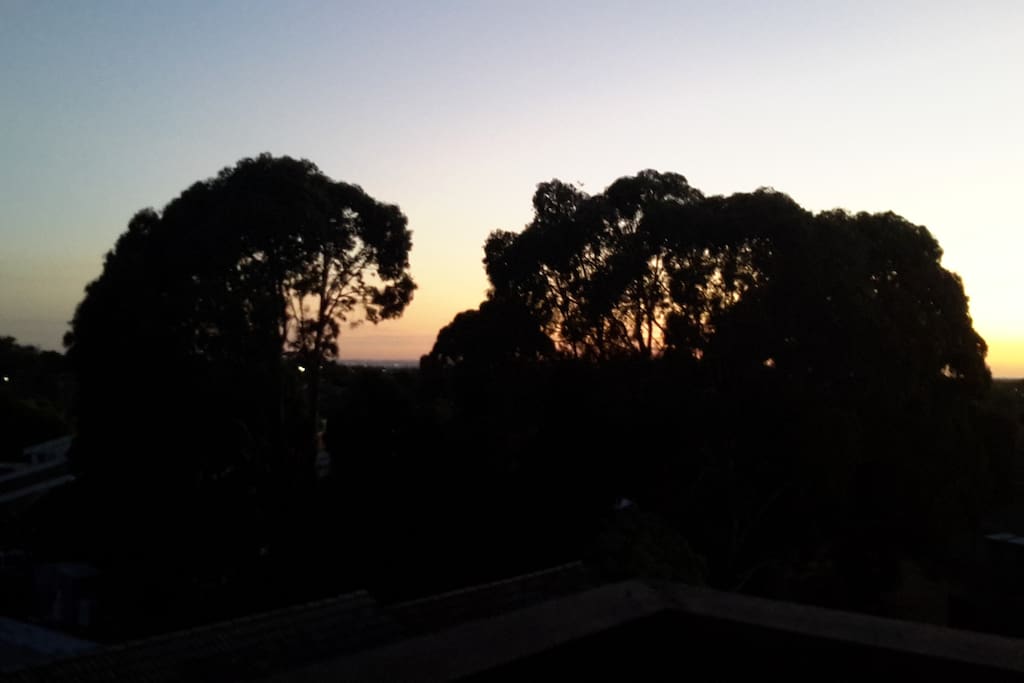 View from the balcony.
