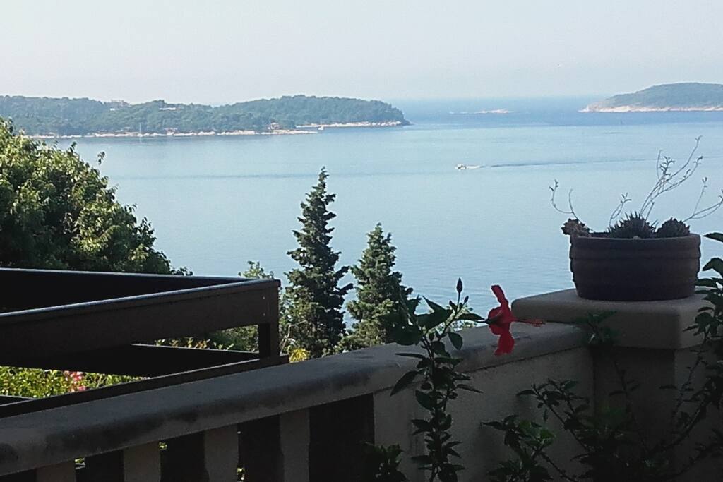 View from terrace in front of the house