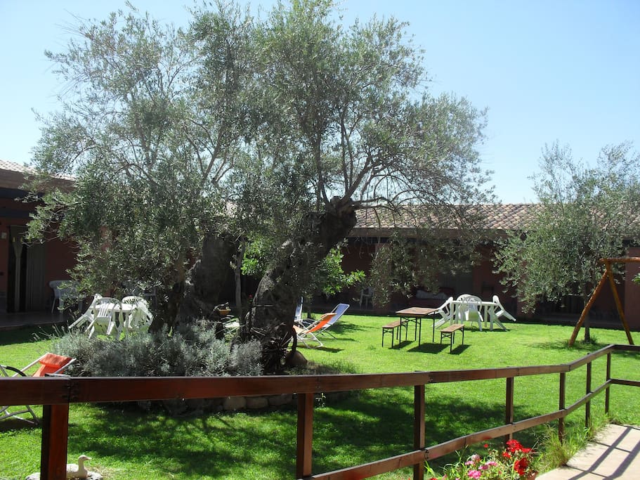 Giardino