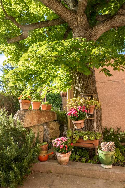 Le Vieux Tilleul - Holiday home (3 bedrooms)