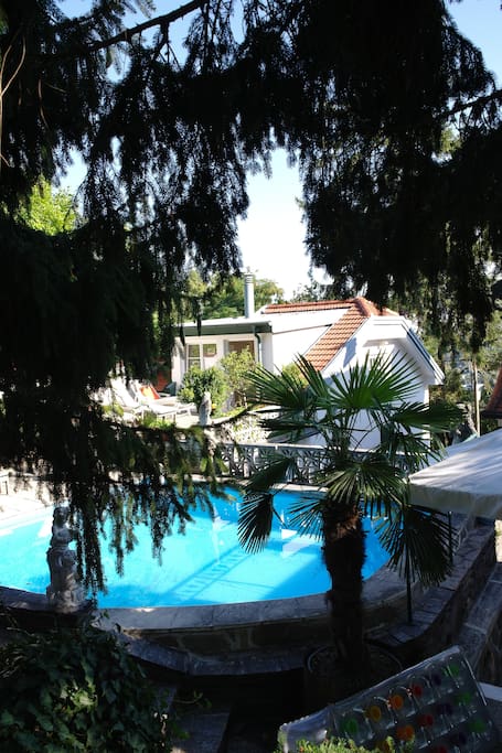 Sommer am Pool