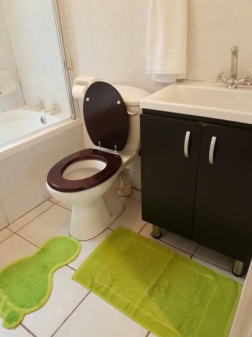 Toilet with shower and bath