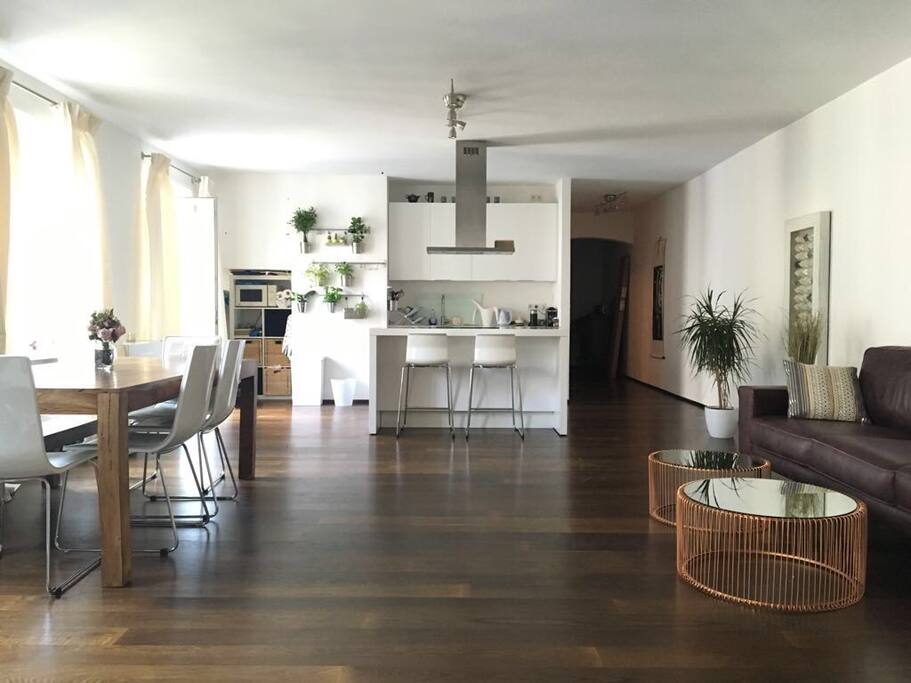 Living room and kitchen