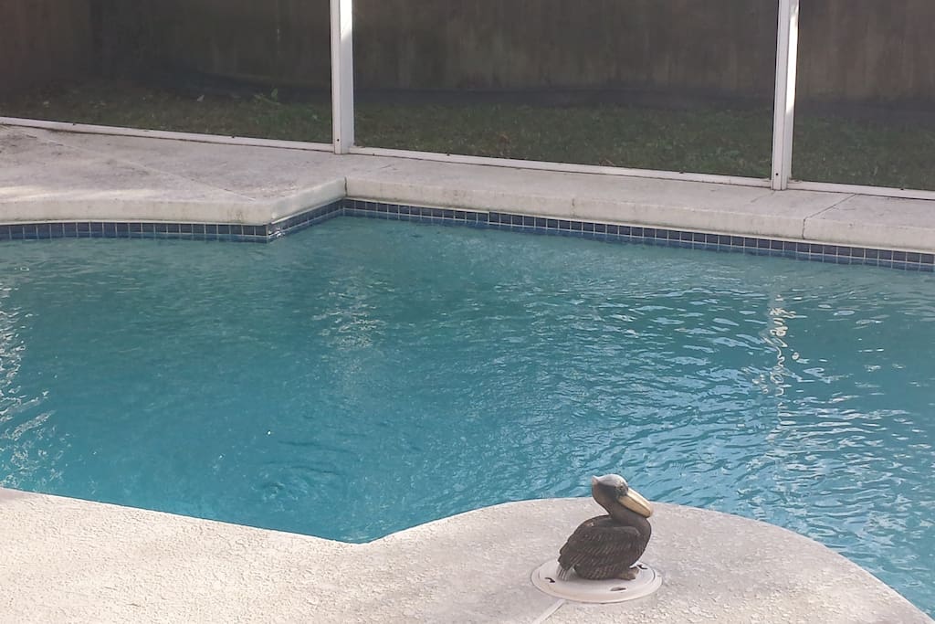 Large pool