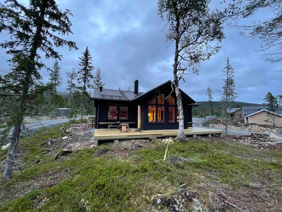 A modern cabin with dark wood siding is surrounded by trees and natural landscape. Large windows illuminate the interior, providing a warm glow. A wooden deck extends from the front, enhancing accessibility to the cabin while integrating with the serene outdoor environment.