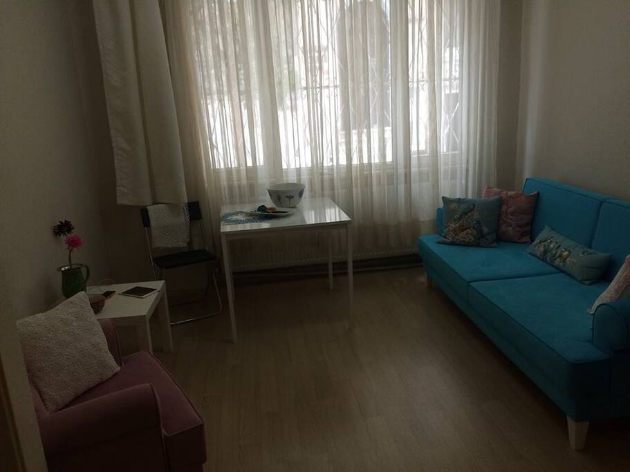 living room, sofa can be used as a bed, too