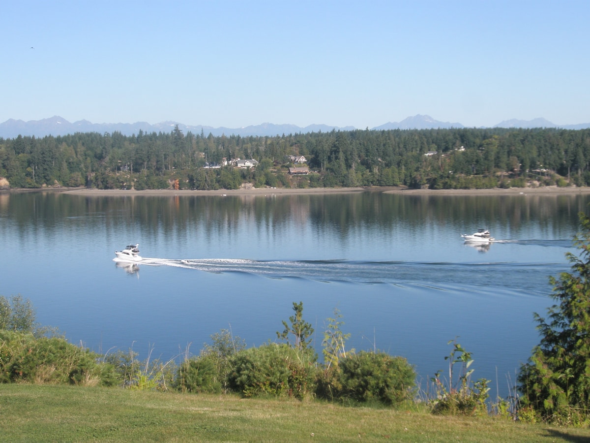 A serene waterfront scene showcases two boats gliding smoothly across Puget Sound, surrounded by lush green foliage. The distant Olympic Mountains create a calming backdrop under a clear blue sky, reflecting the tranquility of the area.