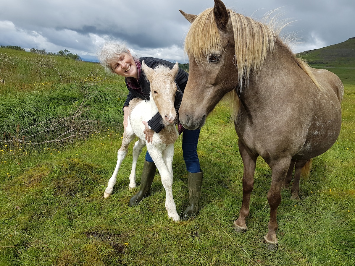 A person holds a young, light-colored foal beside an adult horse in a lush green field. The horses exhibit attentive expressions, with the adult horse's mane flowing in the gentle breeze. The background features rolling hills under a cloudy sky.