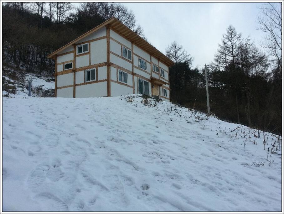 winter