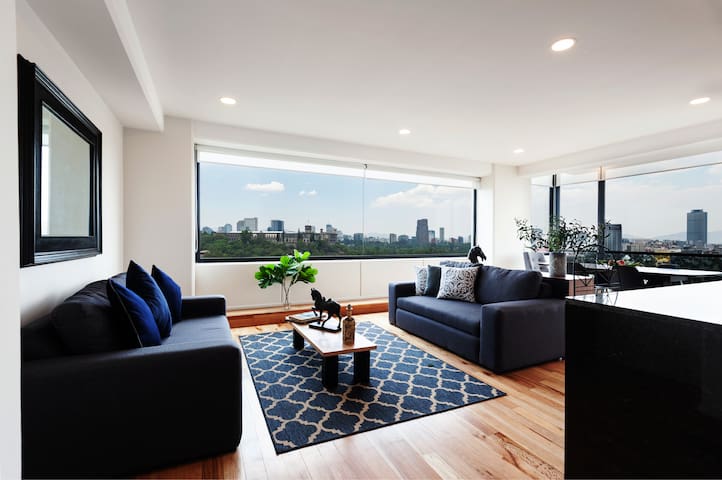 One million dollar view perfect apt in Condesa