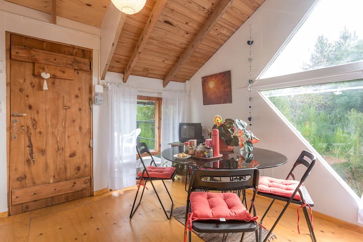 Arrayán.  Luminoso y acogedor departamento