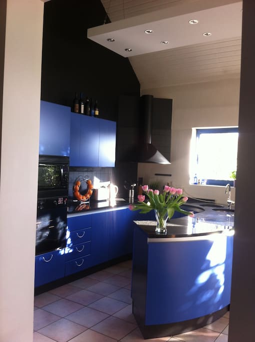 Well equipped design kitchen