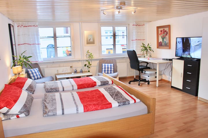 1 Zimmer Wohnung in der Innenstadt von Konstanz