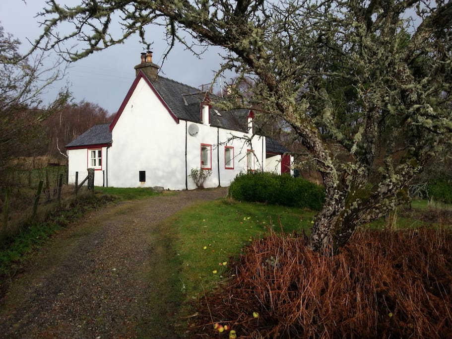 Cosy and warm cottage, even in winter