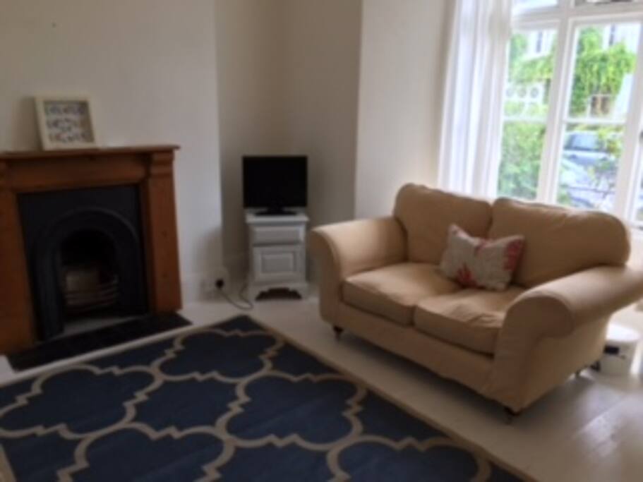 Large light Victorian Sitting