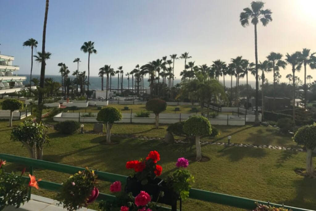Ausblick vom Balkon auf Meer und Palmen