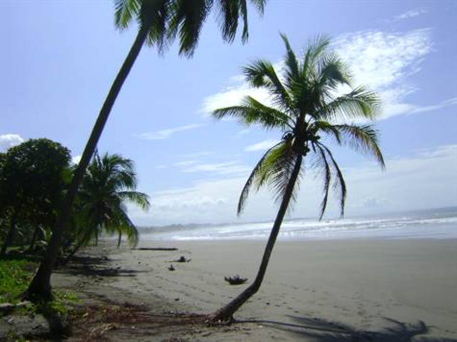 las preciosas playas de Jaco Beach..