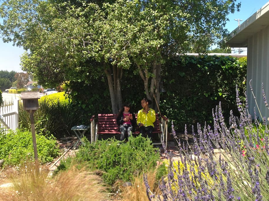 Frontyard