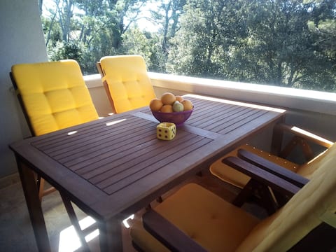 Top performing Airbnb: Silba Mido in Silba