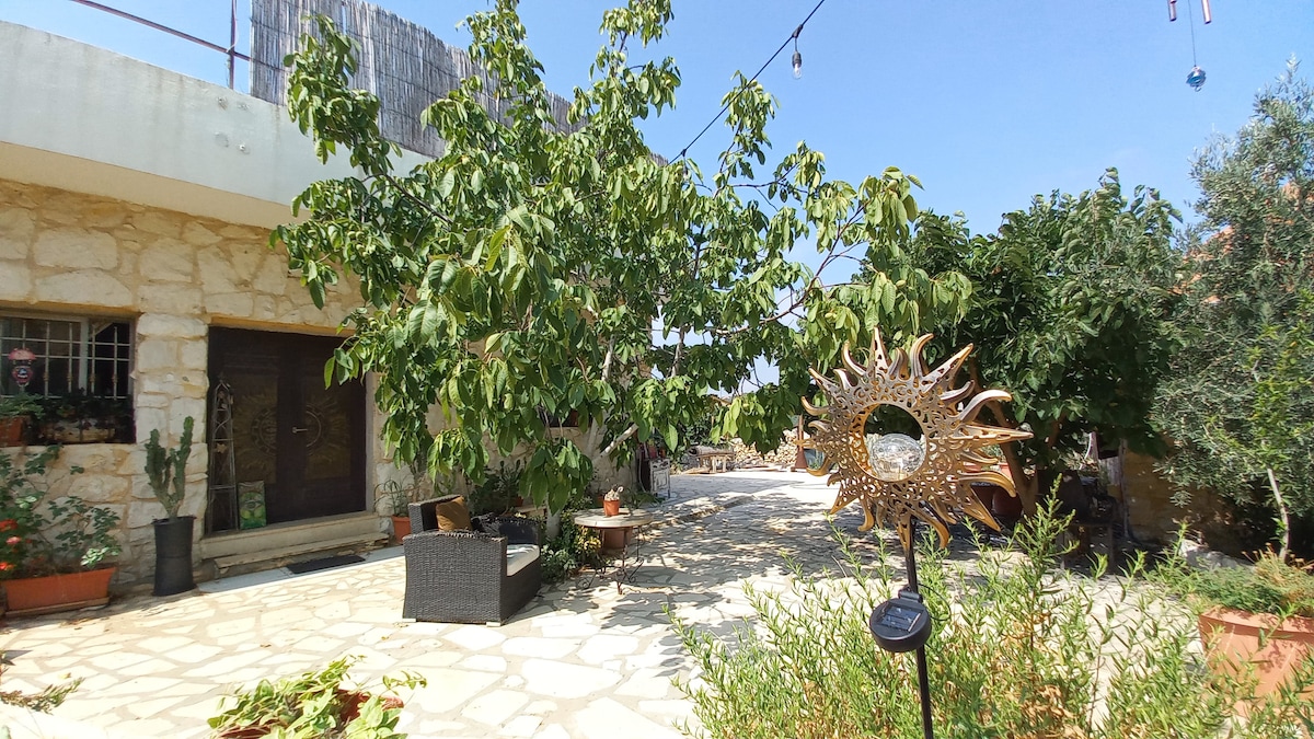 A serene outdoor space is depicted, featuring a stone patio surrounded by lush greenery and fruit trees. Comfortable seating arrangements are visible alongside decorative plants. A sun-themed sculpture adds an artistic touch, while bright blue skies enhance the peaceful atmosphere.