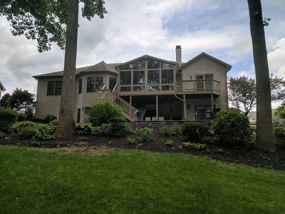 Back Yard