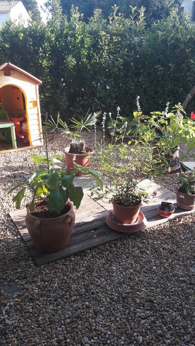 Devant de la maison