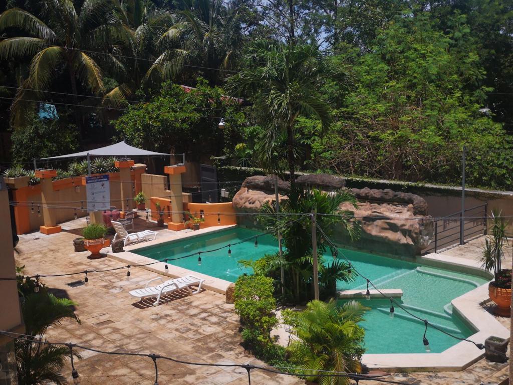 An inviting swimming pool is surrounded by lush greenery and tropical plants. Comfortable lounge chairs are placed around the pool. Light fixtures are strung across the area, adding a soft glow to the outdoor space, complemented by a natural rock formation.