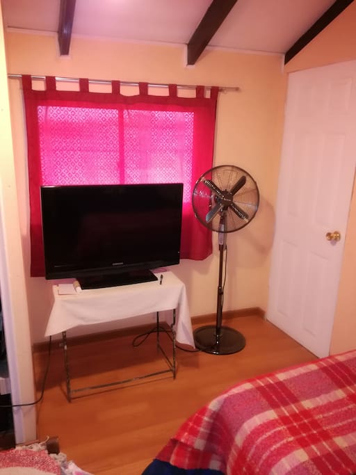 Televisión y ventilador