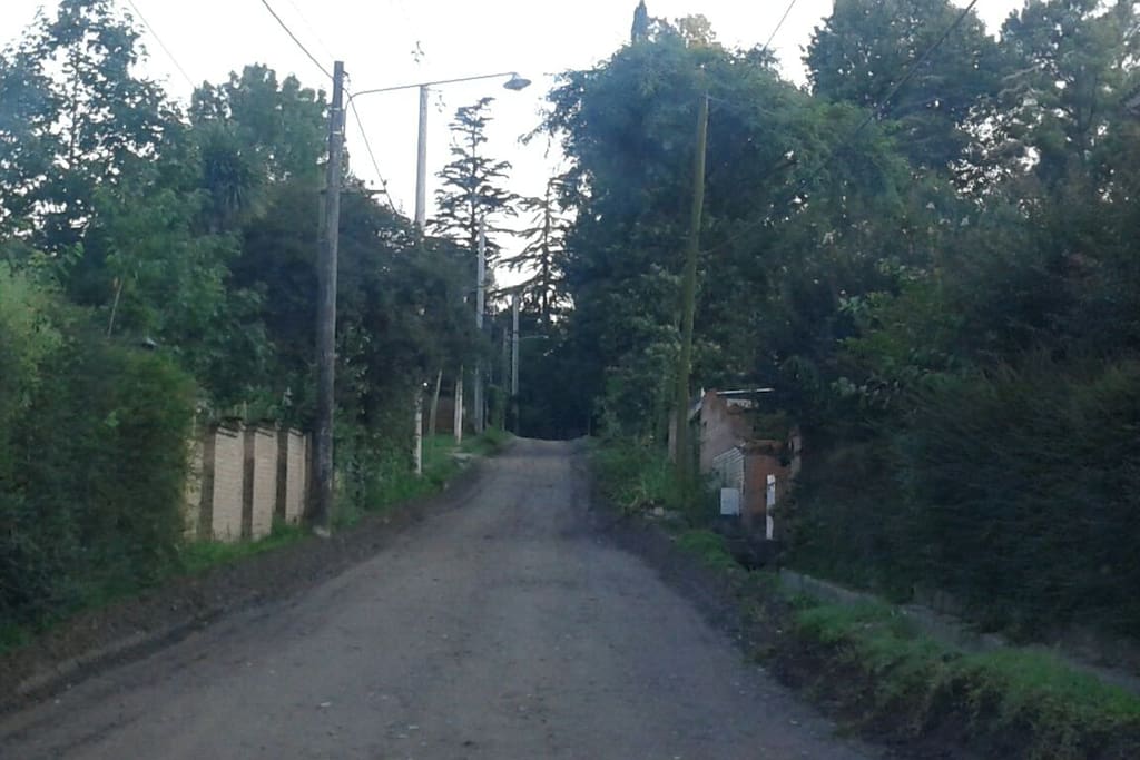 La calle Los Pinos. Que es la calle de acceso -desde avenida Aconquija- al sector de El Corte dónde se ubica mi vivienda.