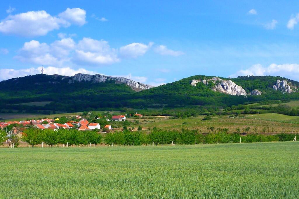 Horní Věstonice