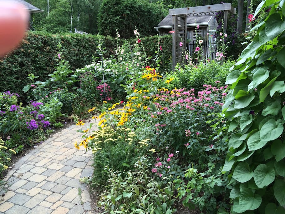 Side garden with path to back