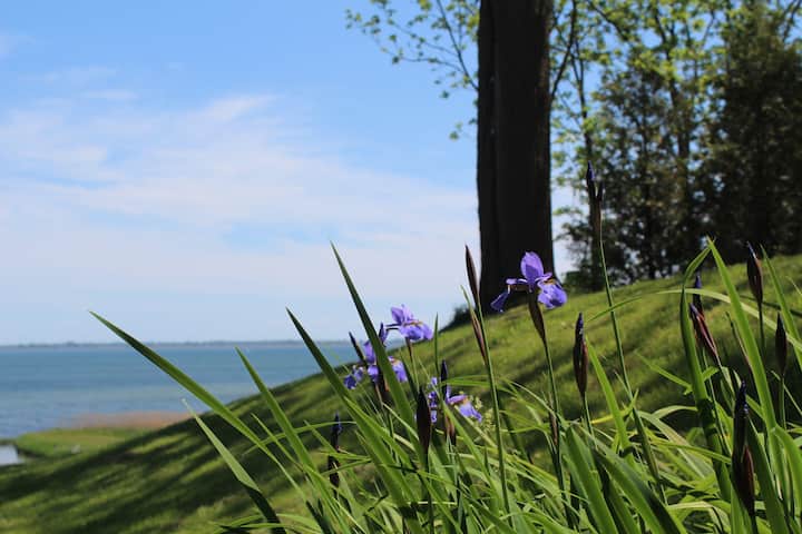 Waterfront Sanctuary - Port Rowan