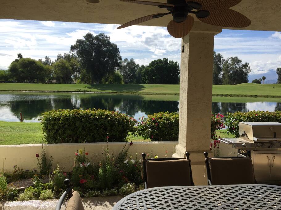 Your patio - beautiful
