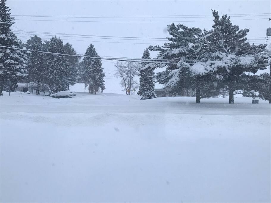 It's a Winter Wonderland! View from Living Room. Snowmobile Trail in sight!