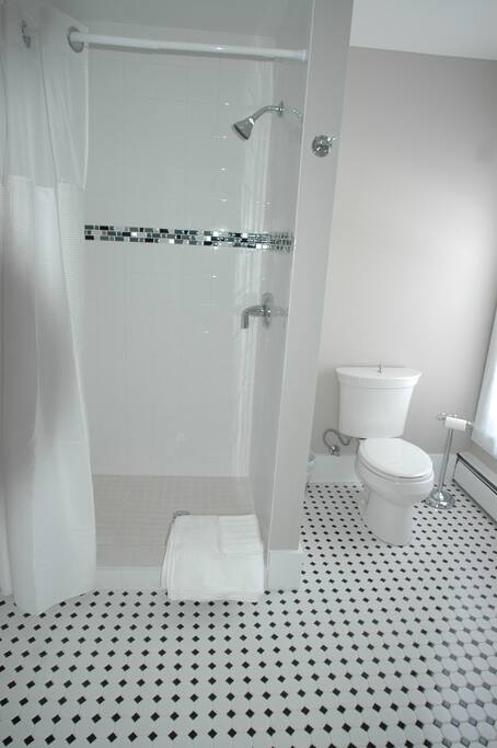 Ritzo Suite - private bath