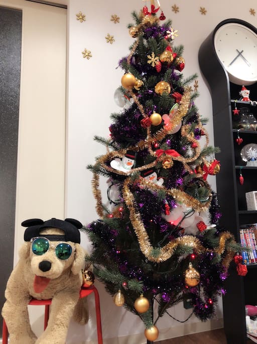 Christmas party is coming soon!on 12/25
クリスマスパーティーをします!