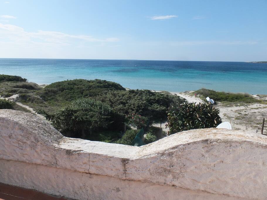 Terrace View