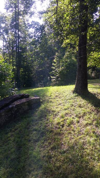 A view of the side yard & "Pride Rock".