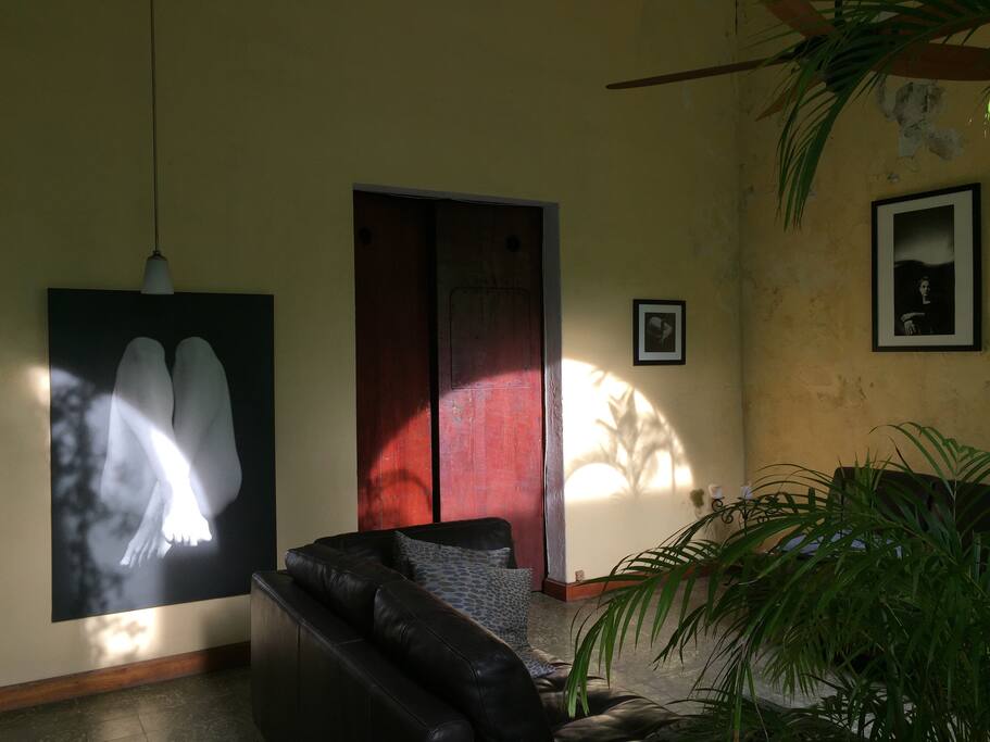 Sitting area. Indoor/Outdoor, the lines are constantly blurred in our home.