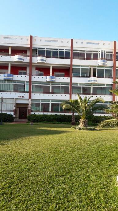 garden with palm trees