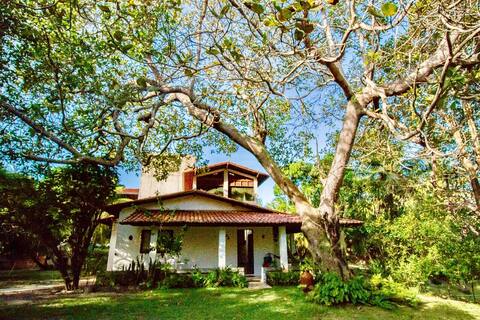Tropical experience in Natal