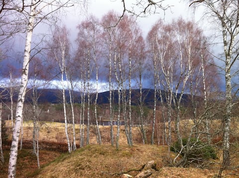Bright Kincraig Home (our view to Loch Insh)